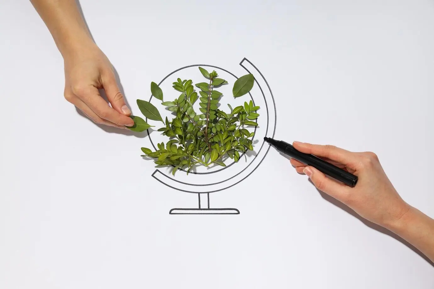 Umweltkonzept und Öko-Konzept zum Tag der Erde